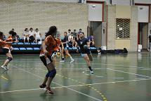 LOGROBUS 23 - ROTULOS 24