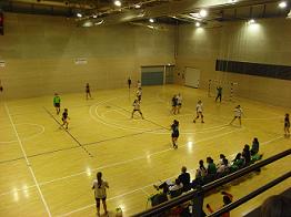 BALONMANO RÓTULOS 31 - OBERENA 27